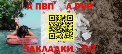 шишки Тара