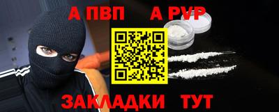 шишки Тара