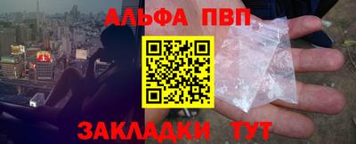 шишки Тара