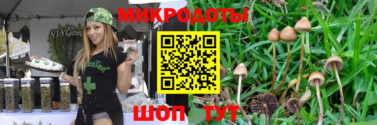 Галлюциногенные грибы ЛСД Осинники